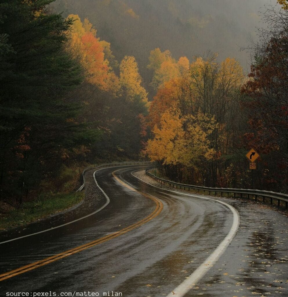 view-wet-road-source-pexels.com-by-matteo-milan